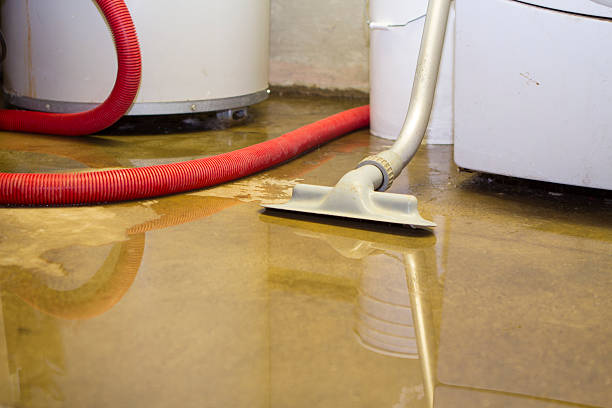 Best 24-hour water damage restoration  in Binghamton University, NY