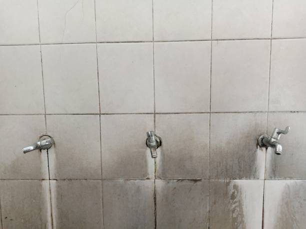  Binghamton University, NY Water damage restoration Pros