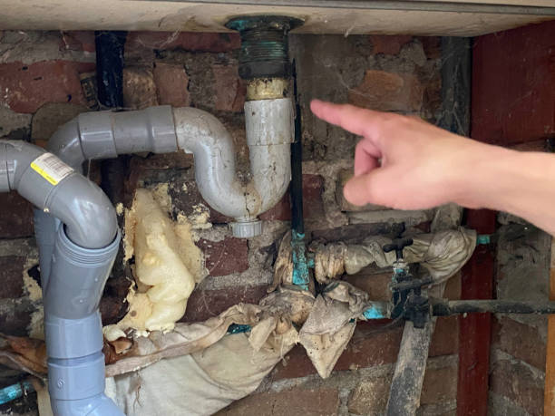 Best Water damage cleanup near me  in Binghamton University, NY