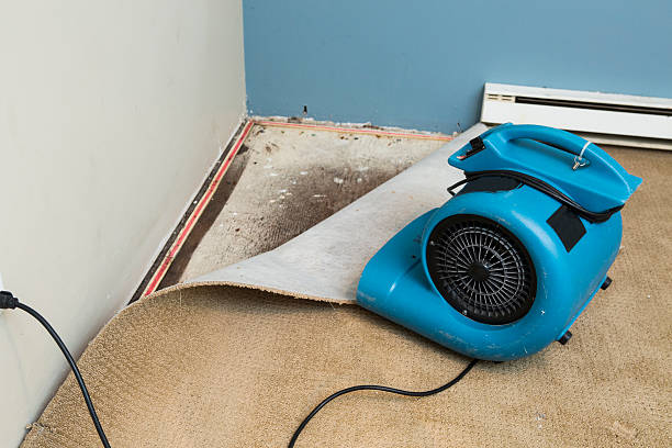 Best Basement water damage restoration  in Binghamton University, NY